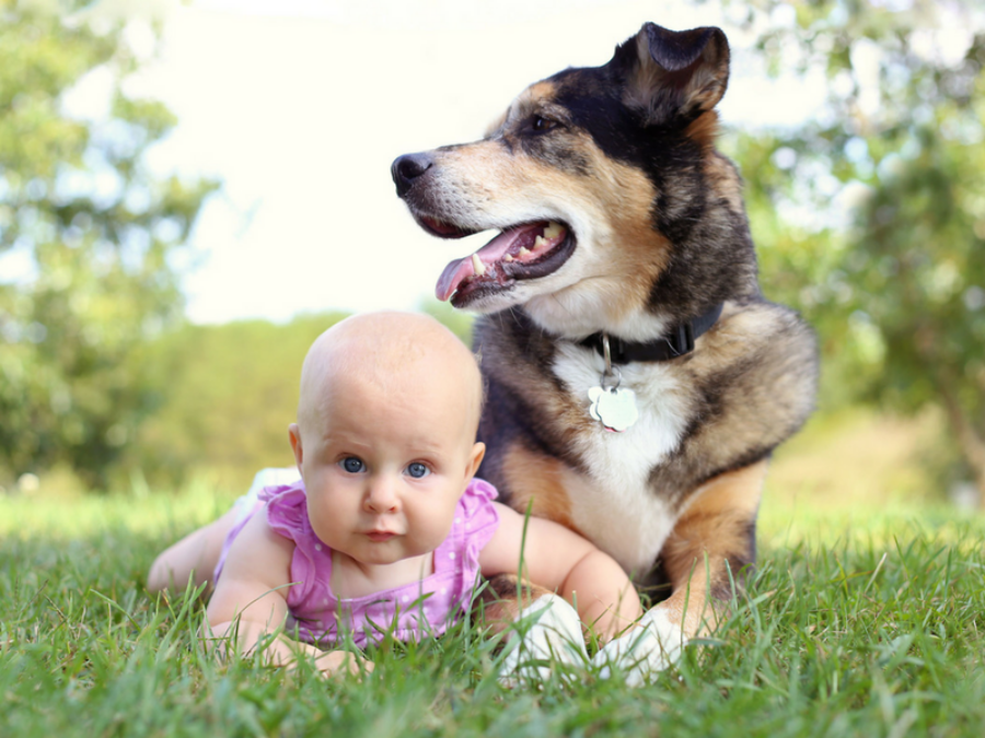 September-7-Baby-and-Pet